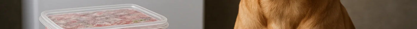 Diepvriesvoer voor honden: een frisse blik op een natuurlijke keuze