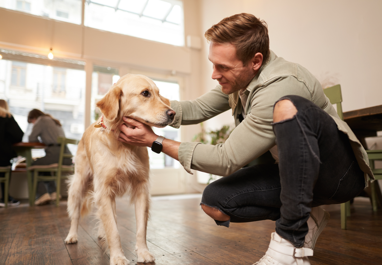 Een nieuwe baan en een hond: hoe regel je goede opvang zonder stress?
