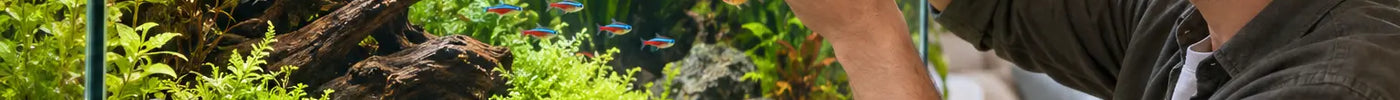 Aquariaan controleert de waterkwaliteit naast een gezond beplant aquarium