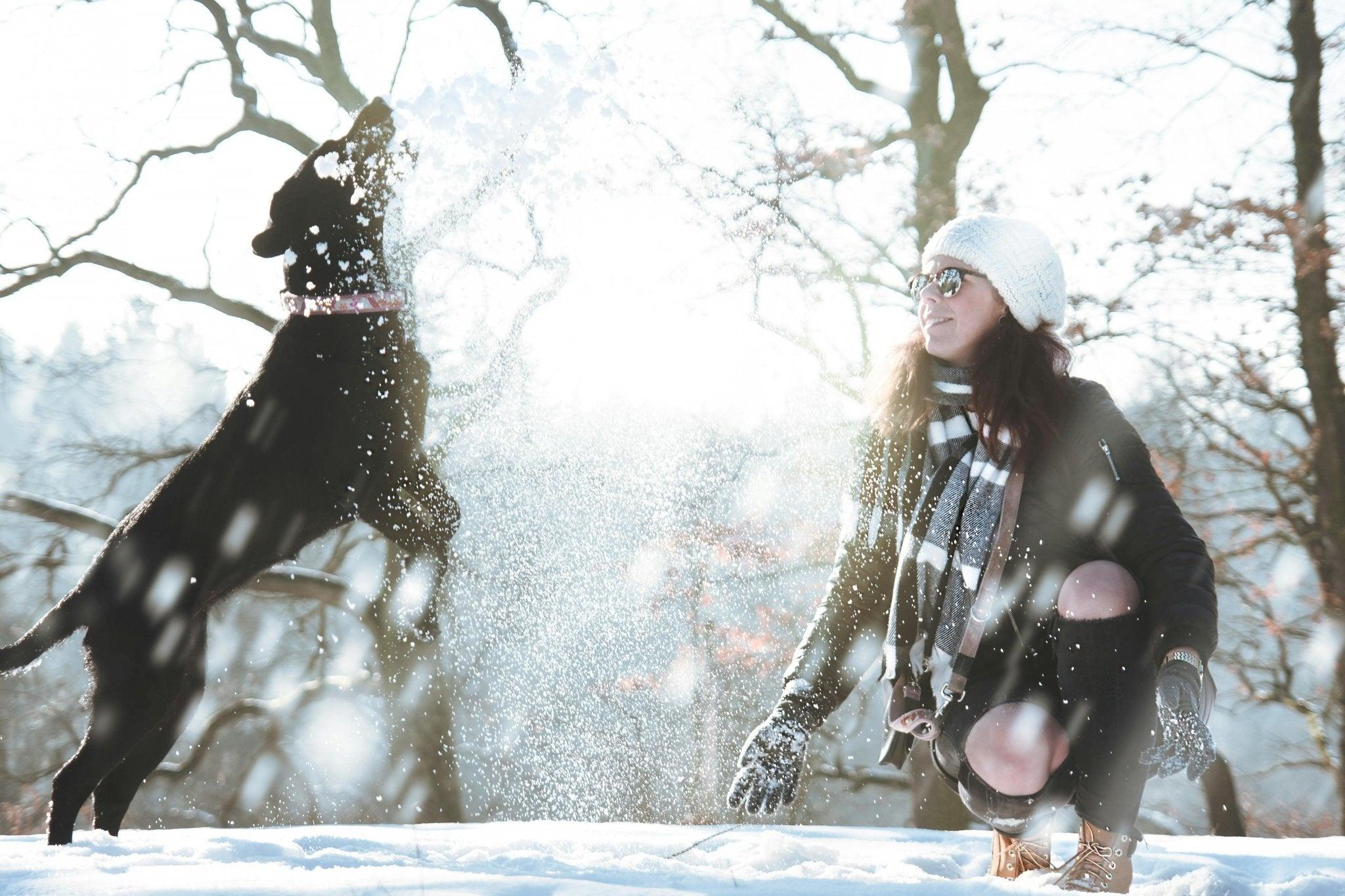 Wandelen met je hond in de winter: Waar moet je op letten? - Fidello
