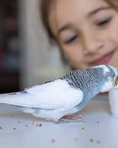 Collection image for: Hoofdvoeding - droogvoer voor vogels