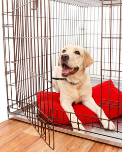 Hondenbenches & Transportboxen - Fidello