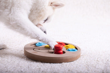 Interactief hondenspeelgoed - Fidello