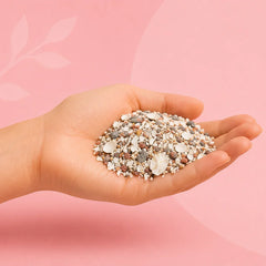 Vogelzand & grit
