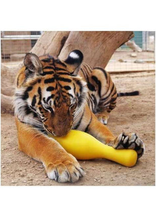 Tuggo Shake N Fetch - Small