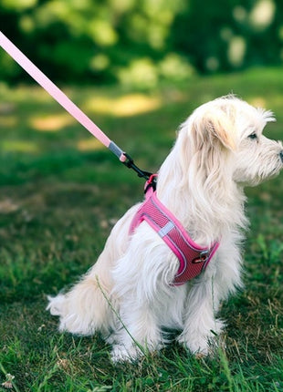 Zolux Szelki oddychające z siatki XL zielone