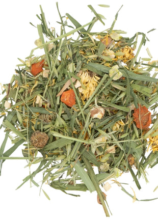 JR Farm Gemüse-Garten im Eimer 600g