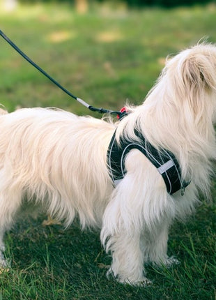 Zolux Szelki oddychające z siatki S czarne