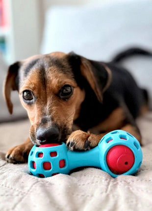 Zolux Zabawka na przysmaki gryzak hantel 13cm