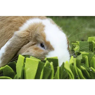 Rosewood Snuffelmat Knaagdier Zwart / Groen