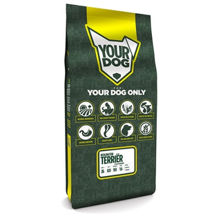 Yourdog Bedlington Terriër Volwassen