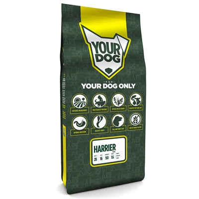 Yourdog Harrier Pup