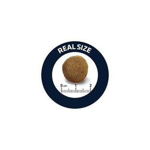 Advance Adult Duitse Herder