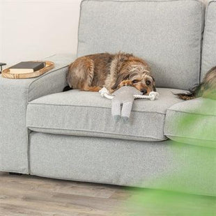 Trixie Wasbeer Pluche / Stof