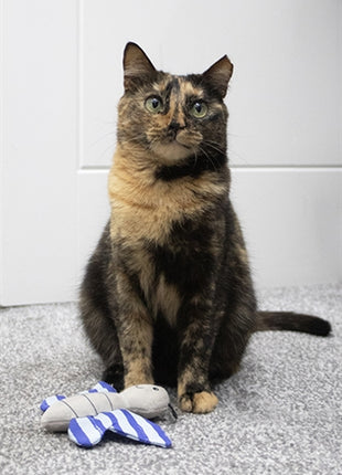 Battersea Vlinder En Libelle Duo Blauw