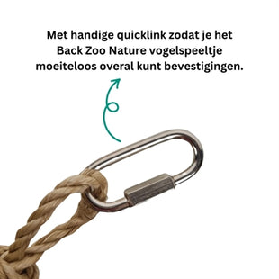 Back Zoo Nature Stunny Sunny