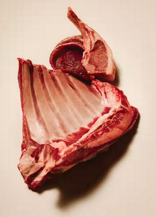 Carnilove Cat Active Lamb & Wild Boar Sterilised - jagnięcina i dzik 400g