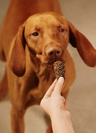 Carnilove Dog Jerky Turkey & Rabbit - indyk i królik 100g