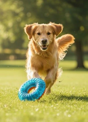 Zolux Zabawka do aportowania donut Tao 8,5cm