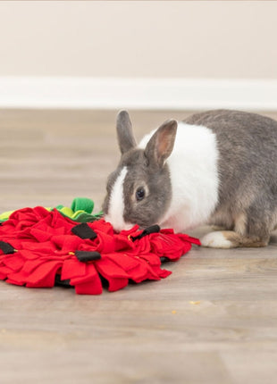 Trixie Schnüffelteppich Erdbeere für Kleintiere