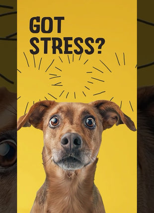 Excellent Pets No Stress Soft Chews 120 Treats