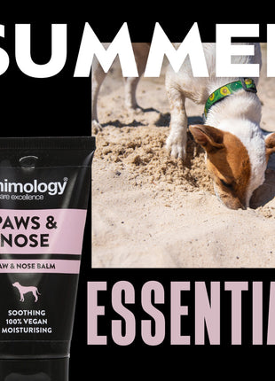 Animology Paws & Nose Balm 50 ml