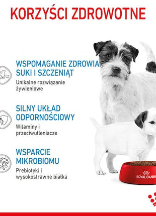 Royal Canin Mini Starter Mother&Babydog karma sucha dla szczeniąt do 2 miesiąca i suk karmiących ras małych 1kg