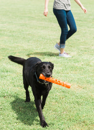 Chuckit! Air Fetch Stick