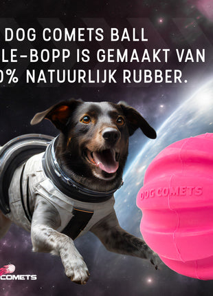 Dog Comets Halley Met Touw Roze