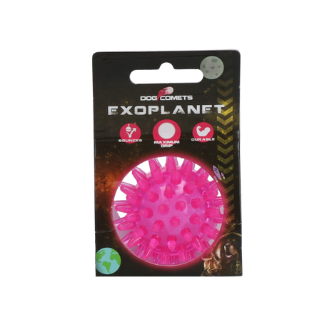 Dog Comets Exoplanet Egelbal Roze