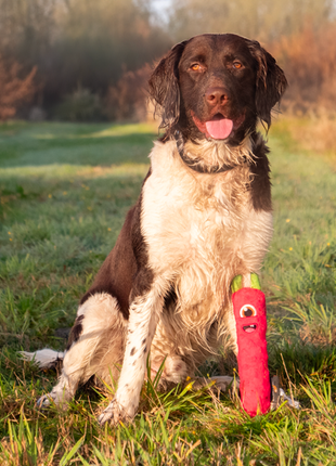Dog Comets Invaders Roze