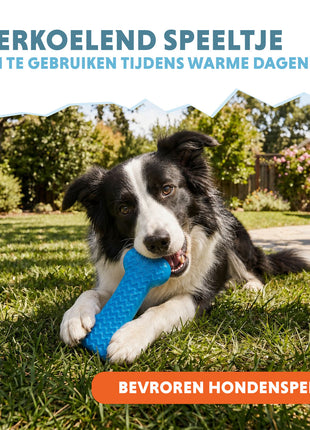 Coolpets Ice Bone