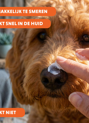CoolPets Sunblock Creme