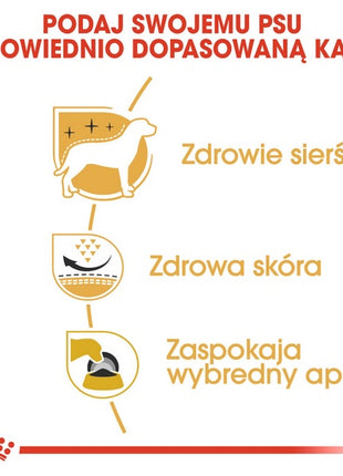 Royal Canin West Highland White Terrier Adult karma sucha dla psów dorosłych rasy west highland white terrier 0,5kg