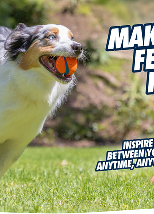 Chuckit! Fetch Ball