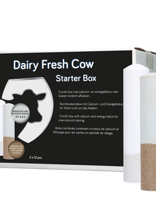 Dairy Fresh Cow Starter Box 2 x 12 stuks