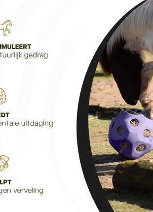 Excellent Horse Feed & Play Ball Paars