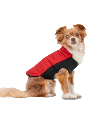 Goo-eez Mock Neck Signature Wrap Jacket Rood/Zwart