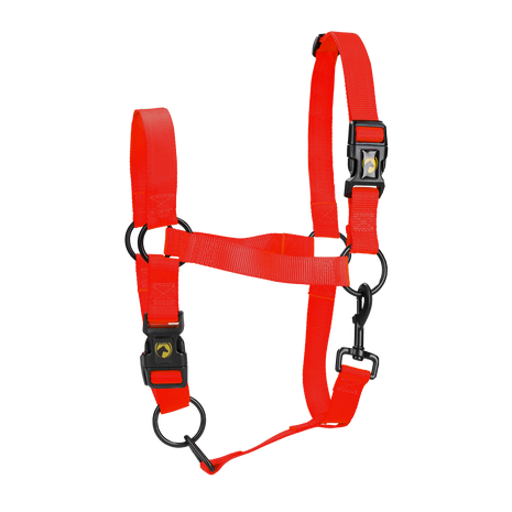 Excellent Essential Halster Rood