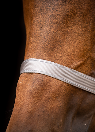 Excellent Premium Halster Grijs
