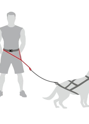 Dingo Pas do biegania Profi - 4 możliwości zapinania