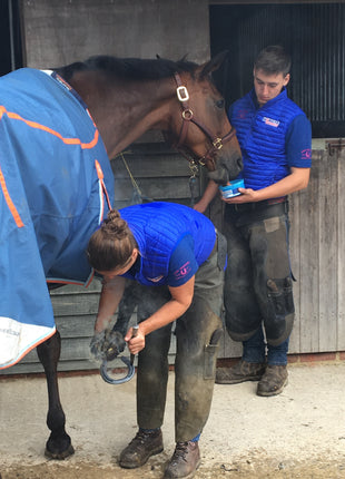 Horslyx Mini Luchtwegen