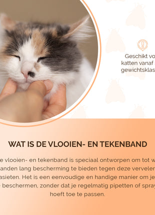 Knock Pest Vlooien/Tekenband Kat 33 cm NL/FR