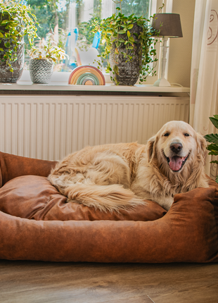 Let's Sleep Sweet Dreams Hondenmand Met Kussen L Antraciet