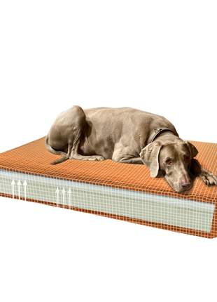 Madison Orthopedisch Kussen Velvet Oranje S