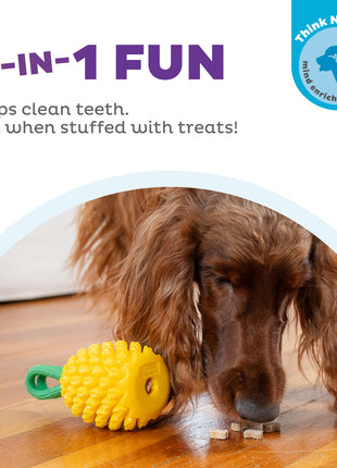 Outward Hound Dental Pineapple
