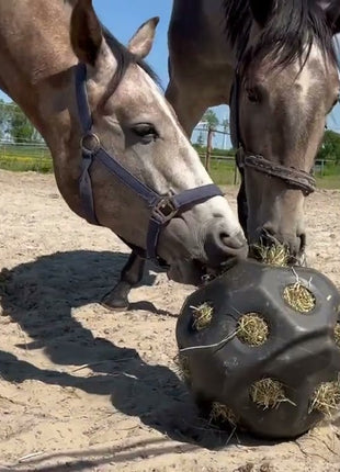 Excellent Horse Feed & Play Ball Paars