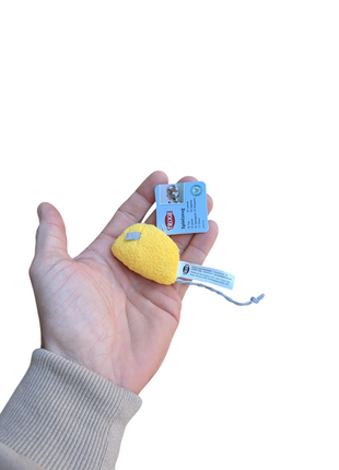 Fidello Speelplezier Pakket voor Katten & Kittens - Spel, uitdaging en vermaak in één