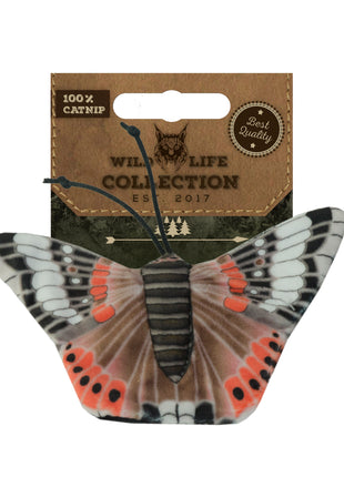 Wild Life Cat Admiraalvlinder