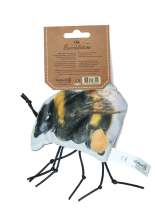 Wild Life Cat Hommel